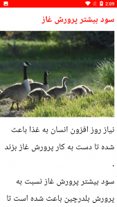 اسکرین شات 3 برنامه نکات مهم پرورش غاز