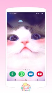 اسکرین شات برنامه Kawaii Cats Wallpapers - Cute Backgrounds 7