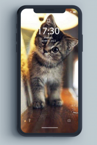 اسکرین شات 2 برنامه Kitten Wallpaper
