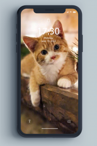 اسکرین شات 4 برنامه Kitten Wallpaper
