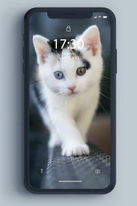 اسکرین شات 7 برنامه Kitten Wallpaper