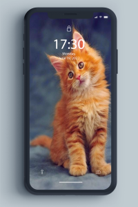 اسکرین شات 8 برنامه Kitten Wallpaper