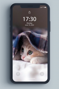 اسکرین شات 6 برنامه Kitten Wallpaper