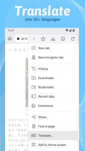 اسکرین شات برنامه Kiwi Browser - Fast & Quiet 4