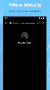 اسکرین شات برنامه Kiwi Browser - Fast & Quiet 7