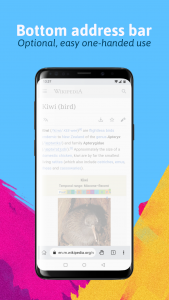 اسکرین شات برنامه Kiwi Browser - Fast & Quiet 1