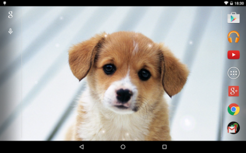 اسکرین شات برنامه Puppies Live Wallpaper 8