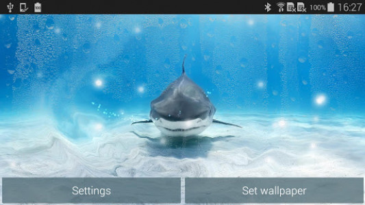 اسکرین شات برنامه Shark Live Wallpaper 8