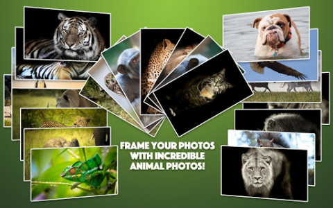 اسکرین شات برنامه Wild Animal Photo Frames 8