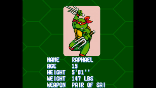 اسکرین شات بازی TMNT: Turtles in Time 5