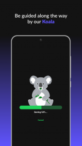 اسکرین شات برنامه Koala Screen Recorder 6