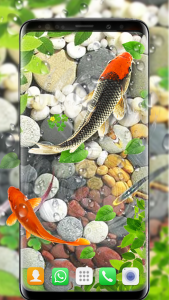 اسکرین شات برنامه Fish Live Wallpaper 2021: Aquarium Koi Backgrounds 1