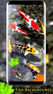 اسکرین شات برنامه 3D Koi Fish Wallpaper HD Fish Live Wallpapers Free 5