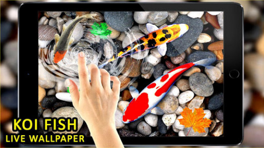 اسکرین شات برنامه 3D Koi Fish Wallpaper HD Fish Live Wallpapers Free 7