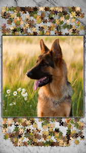 اسکرین شات بازی Jigsaw Puzzles Titan 2