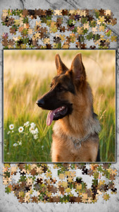 اسکرین شات 2 بازی Jigsaw Puzzles Titan