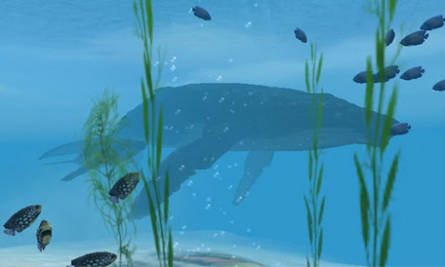 اسکرین شات بازی Shark VR sharks games for VR 2