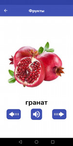 اسکرین شات 5 برنامه Russian For Kids