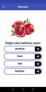 اسکرین شات برنامه Turkish For Kids 8