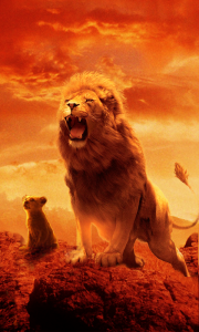 اسکرین شات 1 برنامه Talking Lion