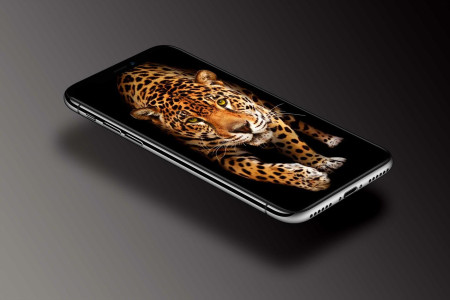 اسکرین شات 5 برنامه Leopard Wallpaper
