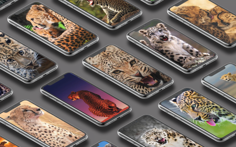 اسکرین شات برنامه Leopard Wallpaper 1