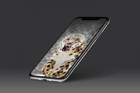 اسکرین شات برنامه Leopard Wallpaper 6