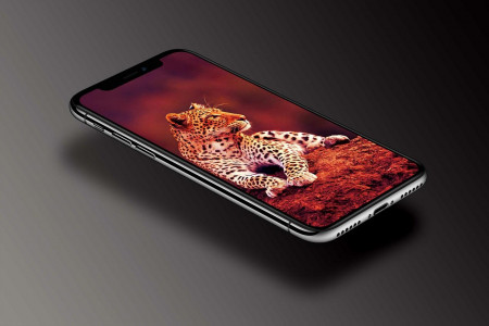 اسکرین شات 3 برنامه Leopard Wallpaper