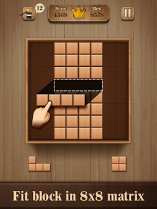 اسکرین شات بازی Fill Wooden Block 8x8: Wood Block Puzzle Classic 7