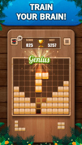 اسکرین شات بازی Wooden 100 Block Puzzle Game 1