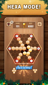اسکرین شات بازی Wooden 100 Block Puzzle Game 7
