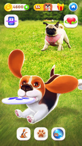اسکرین شات بازی Tamadog - Puppy Pet Dog Games 3