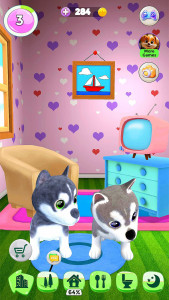 اسکرین شات 3 بازی Talking Husky Dog