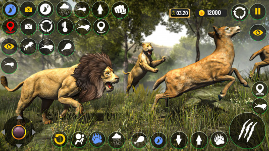 اسکرین شات بازی Lion Games: Lion Simulator 3D 1