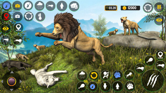 اسکرین شات بازی Lion Games: Lion Simulator 3D 3