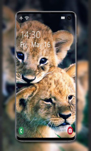 اسکرین شات 6 برنامه Lion Wallpaper