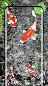 اسکرین شات برنامه Fish Live Wallpaper 3D Touch 5