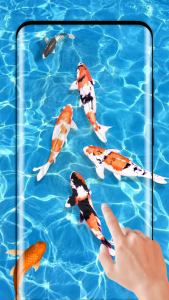 اسکرین شات برنامه Fish Live Wallpaper 3D Touch 6