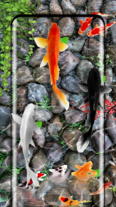 اسکرین شات برنامه Fish Live Wallpaper 3D Touch 7