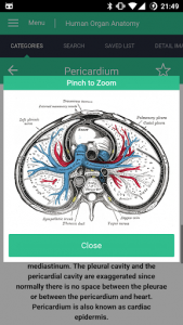 اسکرین شات برنامه Human Organs Anatomy Reference Guide 7