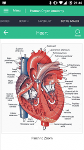 اسکرین شات برنامه Human Organs Anatomy Reference Guide 3