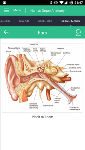 اسکرین شات برنامه Human Organs Anatomy Reference Guide 4