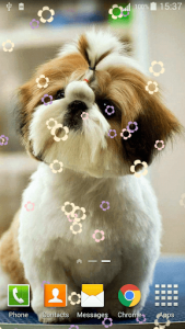 اسکرین شات برنامه Cute Pets Live Wallpaper 4