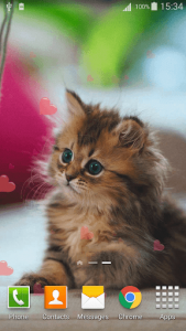 اسکرین شات برنامه Cute Pets Live Wallpaper 1