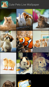 اسکرین شات برنامه Cute Pets Live Wallpaper 3