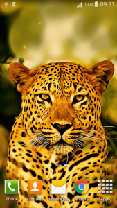 اسکرین شات برنامه Leopard Live Wallpaper 6