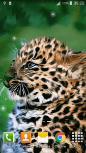 اسکرین شات برنامه Leopard Live Wallpaper 3