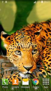 اسکرین شات برنامه Leopard Live Wallpaper 5