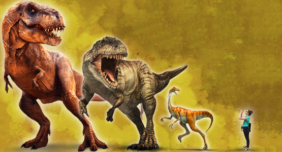 اسکرین شات 4 برنامه Encyclopedia Dinosaurs VR & AR