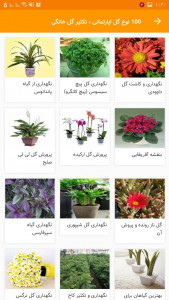 اسکرین شات برنامه 100 نوع گل اپارتمانی ، تکثیر گل خانگی 8